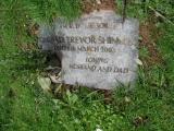 image of grave number 244443